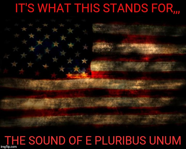 USA Flag | IT'S WHAT THIS STANDS FOR,,, THE SOUND OF E PLURIBUS UNUM | image tagged in usa flag | made w/ Imgflip meme maker