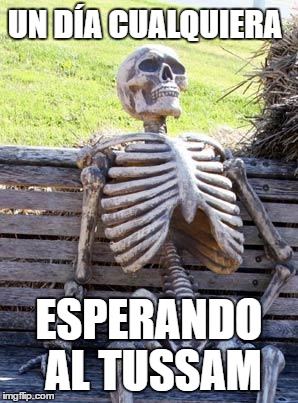 Waiting Skeleton Meme | UN DÍA CUALQUIERA; ESPERANDO AL TUSSAM | image tagged in memes,waiting skeleton | made w/ Imgflip meme maker