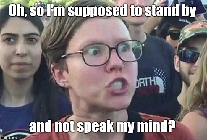 1b8nc8.jpg | Oh, so I'm supposed to stand by and not speak my mind? | image tagged in 1b8nc8jpg | made w/ Imgflip meme maker
