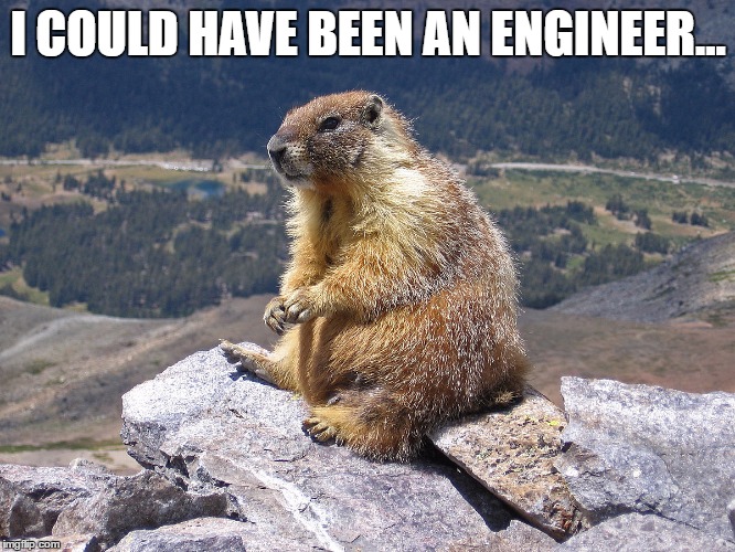 Engineer... | I COULD HAVE BEEN AN ENGINEER... | image tagged in thinkinggroundhog,meme,funny,reflecting,engineer | made w/ Imgflip meme maker