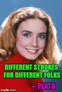 Philosopher Week - A NemoNeem1221 Event - May 15-21 | DIFFERENT STROKES FOR DIFFERENT FOLKS; -- PLATO | image tagged in dana plato,memes,philosopher,funny,philosopher week,different strokes | made w/ Imgflip meme maker