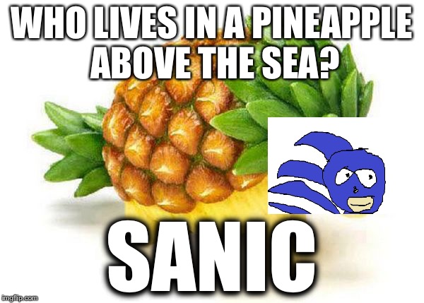 WHO LIVES IN A PINEAPPLE ABOVE THE SEA? SANIC | image tagged in sanic | made w/ Imgflip meme maker