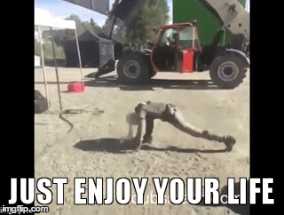 _ | made w/ Imgflip meme maker