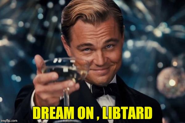Leonardo Dicaprio Cheers Meme | DREAM ON , LIBTARD | image tagged in memes,leonardo dicaprio cheers | made w/ Imgflip meme maker