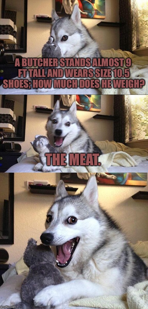 Bad Pun Dog | A BUTCHER STANDS ALMOST 9 FT TALL AND WEARS SIZE 10.5 SHOES; HOW MUCH DOES HE WEIGH? THE MEAT. | image tagged in memes,bad pun dog | made w/ Imgflip meme maker
