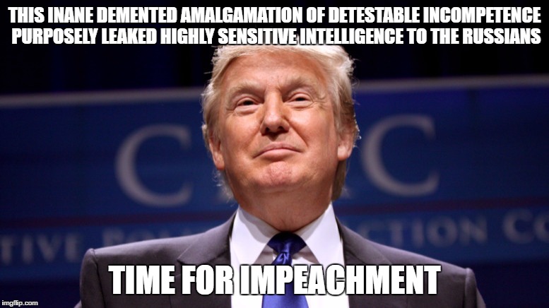 THIS INANE DEMENTED AMALGAMATION OF DETESTABLE INCOMPETENCE PURPOSELY LEAKED HIGHLY SENSITIVE INTELLIGENCE TO THE RUSSIANS; TIME FOR IMPEACHMENT | image tagged in russian tool | made w/ Imgflip meme maker