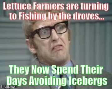 My Facebook Friend... | Lettuce Farmers are turning to Fishing by the droves... They Now Spend Their Days Avoiding Icebergs | image tagged in my facebook friend | made w/ Imgflip meme maker