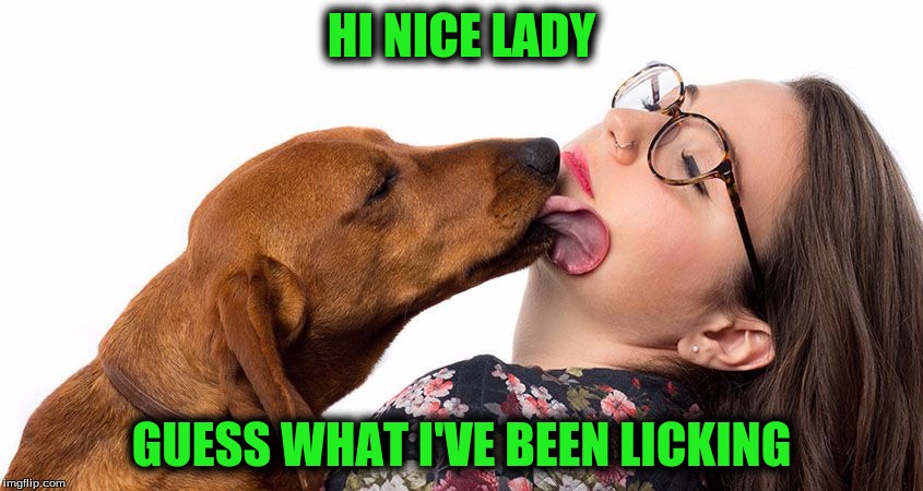 HI NICE LADY GUESS WHAT I'VE BEEN LICKING | made w/ Imgflip meme maker