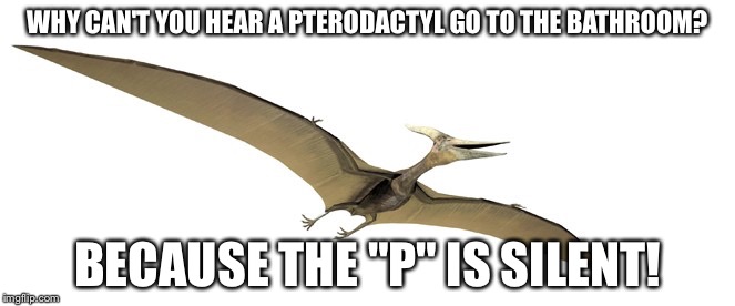 Pterodactyl jokes | WHY CAN'T YOU HEAR A PTERODACTYL GO TO THE BATHROOM? BECAUSE THE "P" IS SILENT! | image tagged in pterodactyl | made w/ Imgflip meme maker