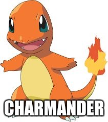 CHARMANDER | image tagged in squirtle's meme | made w/ Imgflip meme maker