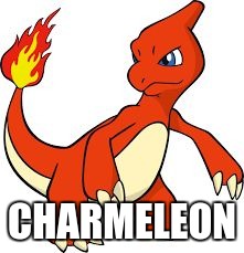 CHARMELEON | image tagged in charmeleon | made w/ Imgflip meme maker