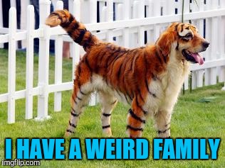 I HAVE A WEIRD FAMILY | made w/ Imgflip meme maker