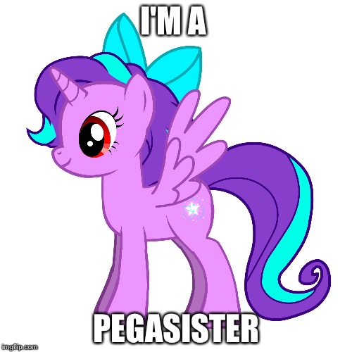 Pony | I'M A PEGASISTER | image tagged in pony | made w/ Imgflip meme maker