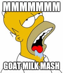 Homer Simpson drooling | MMMMMMM; GOAT MILK MASH | image tagged in homer simpson,homer drooling,goat milk | made w/ Imgflip meme maker