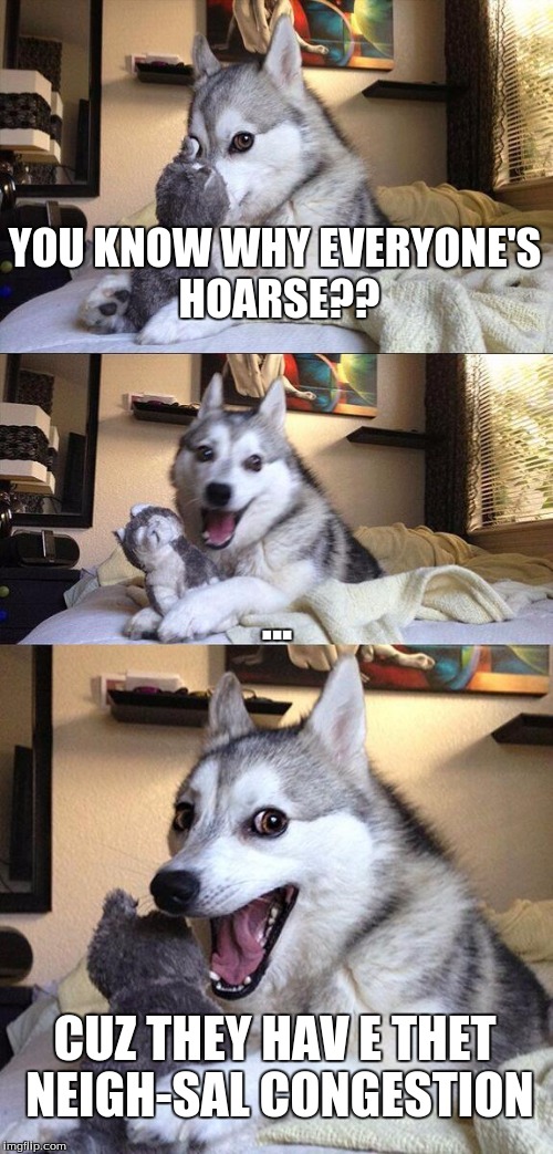 Bad Pun Dog Meme | YOU KNOW WHY EVERYONE'S HOARSE?? ... CUZ THEY HAV E THET NEIGH-SAL CONGESTION | image tagged in memes,bad pun dog | made w/ Imgflip meme maker
