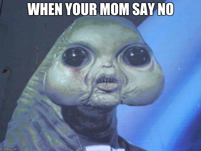 WHEN YOUR MOM SAY NO | image tagged in alien | made w/ Imgflip meme maker