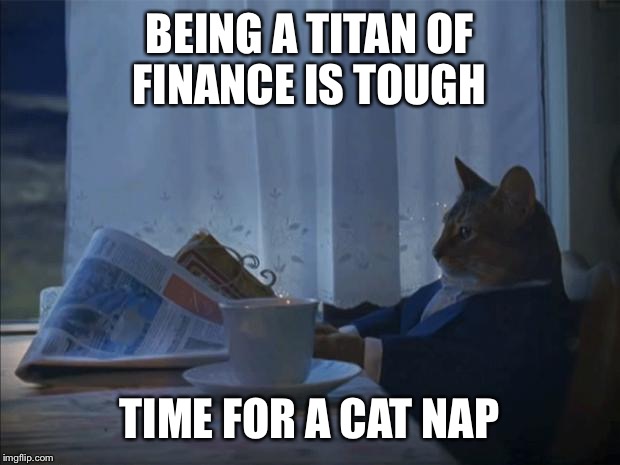 i should cat | BEING A TITAN OF FINANCE IS TOUGH; TIME FOR A CAT NAP | image tagged in i should cat | made w/ Imgflip meme maker