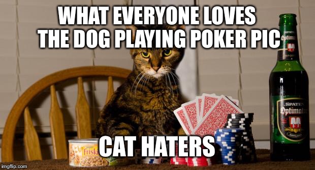 Poker Cat | WHAT EVERYONE LOVES THE DOG PLAYING POKER PIC; CAT HATERS | image tagged in poker cat | made w/ Imgflip meme maker
