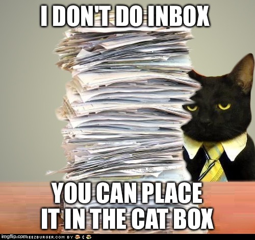 Business Cat | I DON'T DO INBOX; YOU CAN PLACE IT IN THE CAT BOX | image tagged in business cat | made w/ Imgflip meme maker