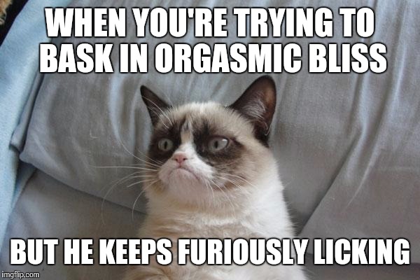Grumpy cat can't catch a break | WHEN YOU'RE TRYING TO BASK IN ORGASMIC BLISS; BUT HE KEEPS FURIOUSLY LICKING | image tagged in grumpy cat bed,grumpy cat | made w/ Imgflip meme maker