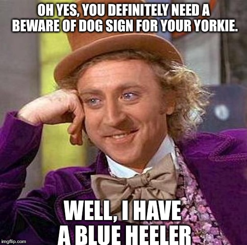 Creepy Condescending Wonka Meme | OH YES, YOU DEFINITELY NEED A BEWARE OF DOG SIGN FOR YOUR YORKIE. WELL, I HAVE A BLUE HEELER | image tagged in memes,creepy condescending wonka | made w/ Imgflip meme maker