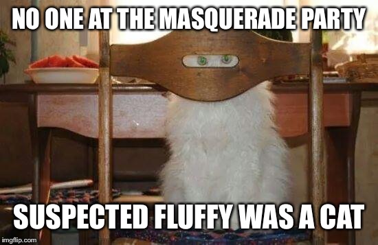 spycat | NO ONE AT THE MASQUERADE PARTY; SUSPECTED FLUFFY WAS A CAT | image tagged in spycat | made w/ Imgflip meme maker