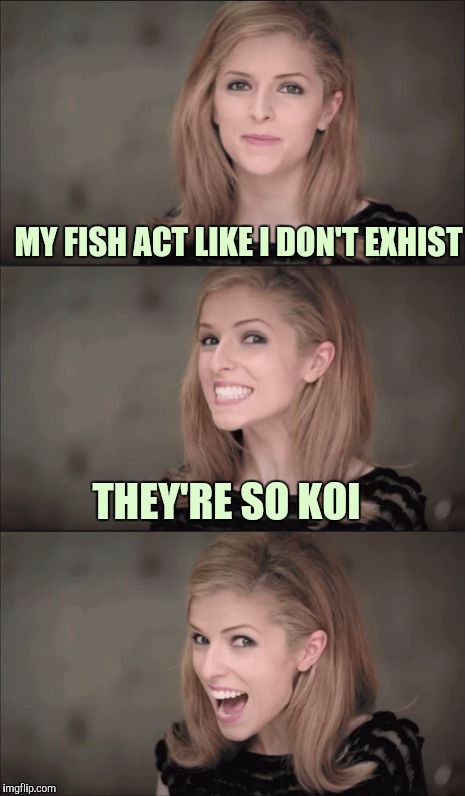 Maybe they're just playin' hard to get. | MY FISH ACT LIKE I DON'T EXHIST; THEY'RE SO KOI | image tagged in memes,bad pun anna kendrick,sewmyeyesshut | made w/ Imgflip meme maker