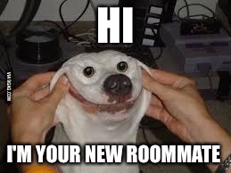 HI; I'M YOUR NEW ROOMMATE | image tagged in aooogah | made w/ Imgflip meme maker
