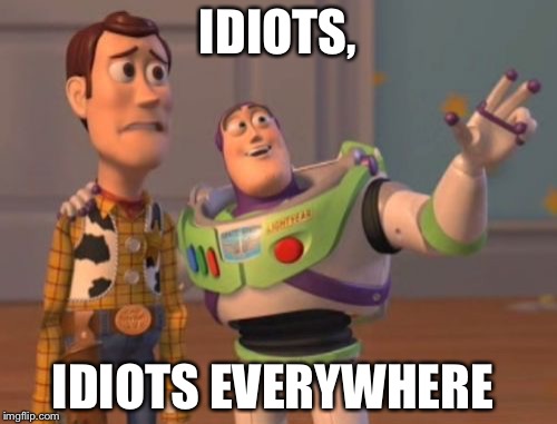 X, X Everywhere | IDIOTS, IDIOTS EVERYWHERE | image tagged in memes,x x everywhere | made w/ Imgflip meme maker