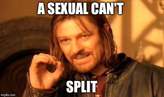 A SEXUAL CAN'T SPLIT | image tagged in memes,one does not simply | made w/ Imgflip meme maker