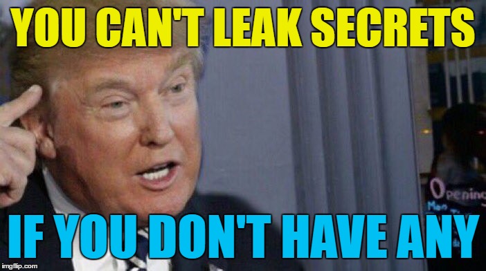 It's true... :) | YOU CAN'T LEAK SECRETS; IF YOU DON'T HAVE ANY | image tagged in trump roll safe,memes,trump,secrets,russia,politics | made w/ Imgflip meme maker