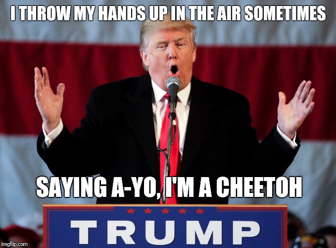 I THROW MY HANDS UP IN THE AIR SOMETIMES; SAYING A-YO, I'M A CHEETOH | image tagged in donald trump | made w/ Imgflip meme maker