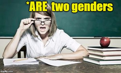 teacher | *ARE  two genders | image tagged in teacher | made w/ Imgflip meme maker