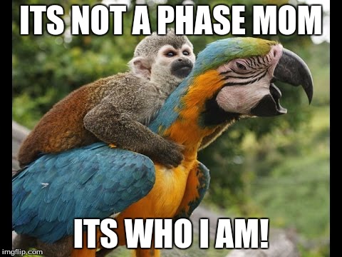 ITS NOT A PHASE MOM; ITS WHO I AM! | image tagged in teen | made w/ Imgflip meme maker
