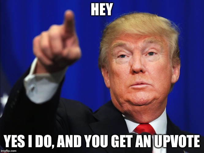 Hey Donald  | HEY YES I DO, AND YOU GET AN UPVOTE | image tagged in hey donald | made w/ Imgflip meme maker