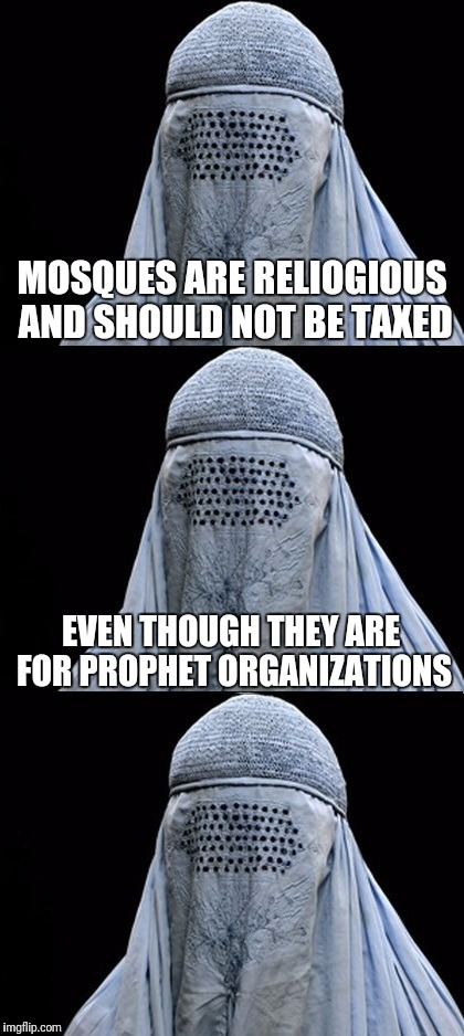 Bad Pun Burka | MOSQUES ARE RELIOGIOUS AND SHOULD NOT BE TAXED; EVEN THOUGH THEY ARE FOR PROPHET ORGANIZATIONS | image tagged in bad pun burka | made w/ Imgflip meme maker