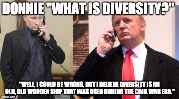 Trump Putin phone call | DONNIE "WHAT IS DIVERSITY?"; "WELL, I COULD BE WRONG, BUT I BELIEVE DIVERSITY IS AN OLD, OLD WOODEN SHIP THAT WAS USED DURING THE CIVIL WAR ERA." | image tagged in trump putin phone call | made w/ Imgflip meme maker