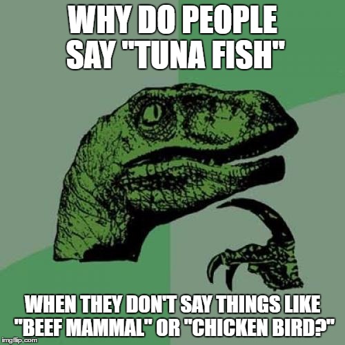Philosoraptor | WHY DO PEOPLE SAY "TUNA FISH"; WHEN THEY DON'T SAY THINGS LIKE "BEEF MAMMAL" OR "CHICKEN BIRD?" | image tagged in memes,philosoraptor | made w/ Imgflip meme maker