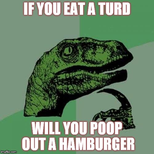 I always wondered this if someone is willing to try | IF YOU EAT A TURD; WILL YOU POOP OUT A HAMBURGER | image tagged in memes,philosoraptor,turd,philosopher week,poop | made w/ Imgflip meme maker
