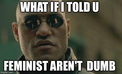 Matrix Morpheus | WHAT IF I TOLD U; FEMINIST AREN'T  DUMB | image tagged in memes,matrix morpheus | made w/ Imgflip meme maker