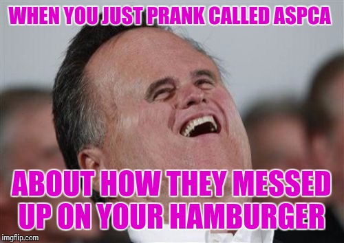 ASPCA Prank Call  | WHEN YOU JUST PRANK CALLED ASPCA; ABOUT HOW THEY MESSED UP ON YOUR HAMBURGER | image tagged in memes,small face romney,funny,meme,donations | made w/ Imgflip meme maker