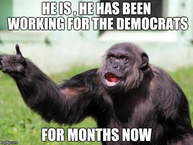 Gorilla your dreams | HE IS , HE HAS BEEN WORKING FOR THE DEMOCRATS FOR MONTHS NOW | image tagged in gorilla your dreams | made w/ Imgflip meme maker