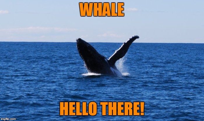 WHALE HELLO THERE! | made w/ Imgflip meme maker