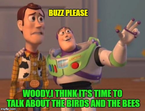Buzz plz | BUZZ PLEASE; WOODY,I THINK IT'S TIME TO TALK ABOUT THE BIRDS AND THE BEES | image tagged in memes,x x everywhere,birds and bees | made w/ Imgflip meme maker
