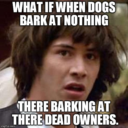 Conspiracy Keanu Meme | WHAT IF WHEN DOGS BARK AT NOTHING; THERE BARKING AT THERE DEAD OWNERS. | image tagged in memes,conspiracy keanu | made w/ Imgflip meme maker