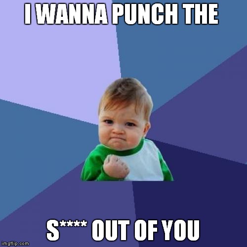 Success Kid Meme | I WANNA PUNCH THE; S**** OUT OF YOU | image tagged in memes,success kid | made w/ Imgflip meme maker