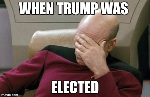 Captain Picard Facepalm Meme | WHEN TRUMP WAS; ELECTED | image tagged in memes,captain picard facepalm | made w/ Imgflip meme maker
