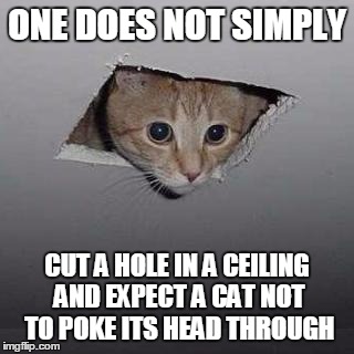 Ceiling Cat Meme | ONE DOES NOT SIMPLY; CUT A HOLE IN A CEILING AND EXPECT A CAT NOT TO POKE ITS HEAD THROUGH | image tagged in memes,ceiling cat | made w/ Imgflip meme maker