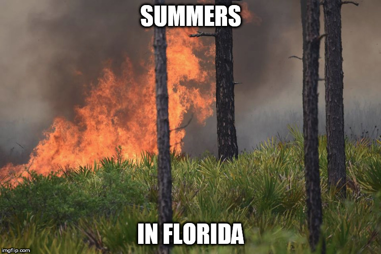 Summers in Florida... | SUMMERS; IN FLORIDA | image tagged in summer,florida,fire | made w/ Imgflip meme maker