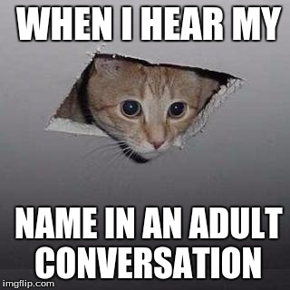 Ceiling Cat | WHEN I HEAR MY; NAME IN AN ADULT CONVERSATION | image tagged in memes,ceiling cat | made w/ Imgflip meme maker